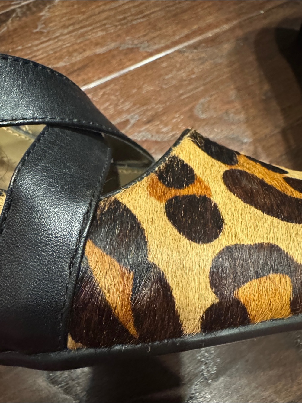 AEROSOLES Leopard Print Pumps with Black Straps - Picture 6 of 7